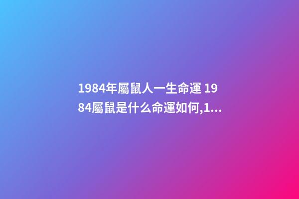 1984年屬鼠人一生命運 1984屬鼠是什么命運如何,1984年生人屬鼠是什么命-第1張-觀點-玄機派